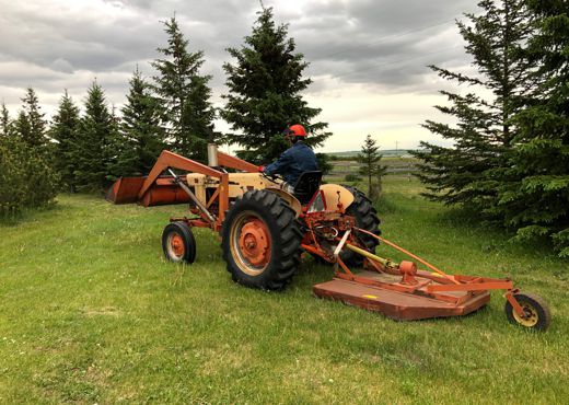 Tall Rough Grass Mowing Priddis