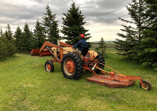 Tall Rough Grass Mowing Alberta